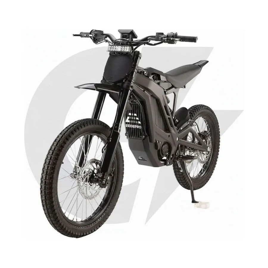 E Ride Pro SS 3.0